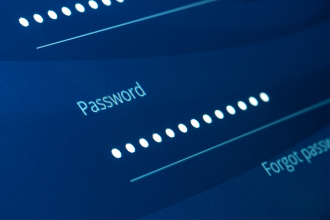 image of a password entry screen